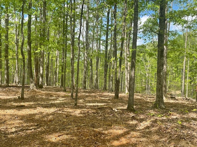 135 Shelton Cemetery Rd, Cumberland Furnace, TN 37051