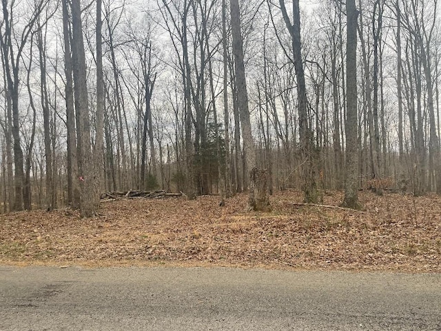 135 Shelton Cemetery Rd, Cumberland Furnace, TN 37051
