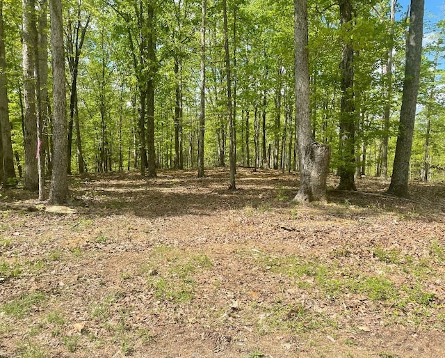 135 Shelton Cemetery Rd, Cumberland Furnace, TN 37051