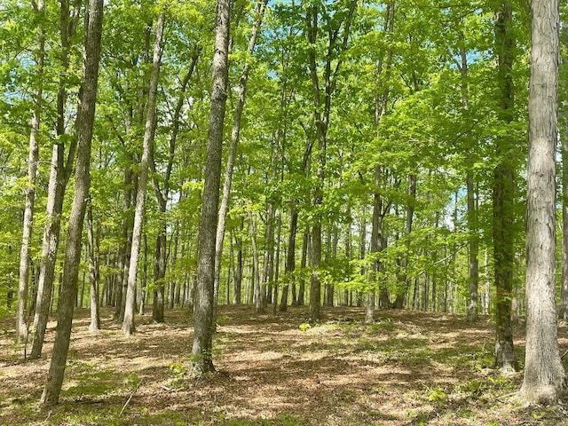 135 Shelton Cemetery Rd, Cumberland Furnace, TN 37051