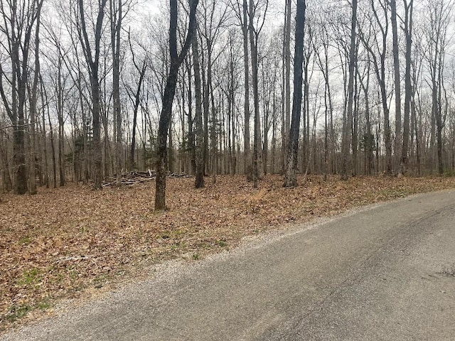 135 Shelton Cemetery Rd, Cumberland Furnace, TN 37051