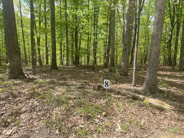 135 Shelton Cemetery Rd, Cumberland Furnace, TN 37051