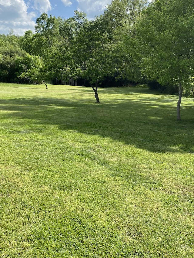 1765 Williamson Branch Rd, Vanleer, TN 37181