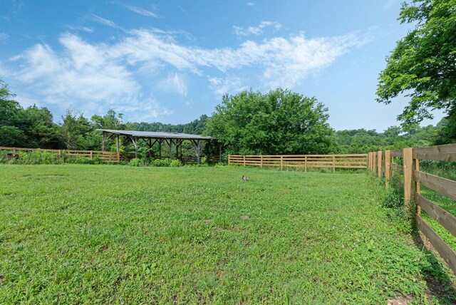 1277 Coosie Branch Rd, Lewisburg, TN 37091 - photo 61
