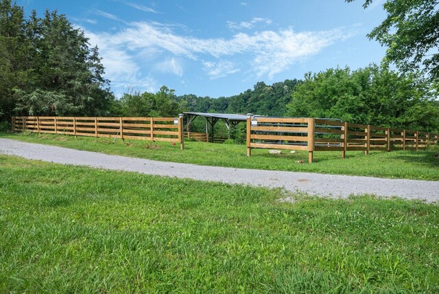 1277 Coosie Branch Rd, Lewisburg, TN 37091 - photo 59