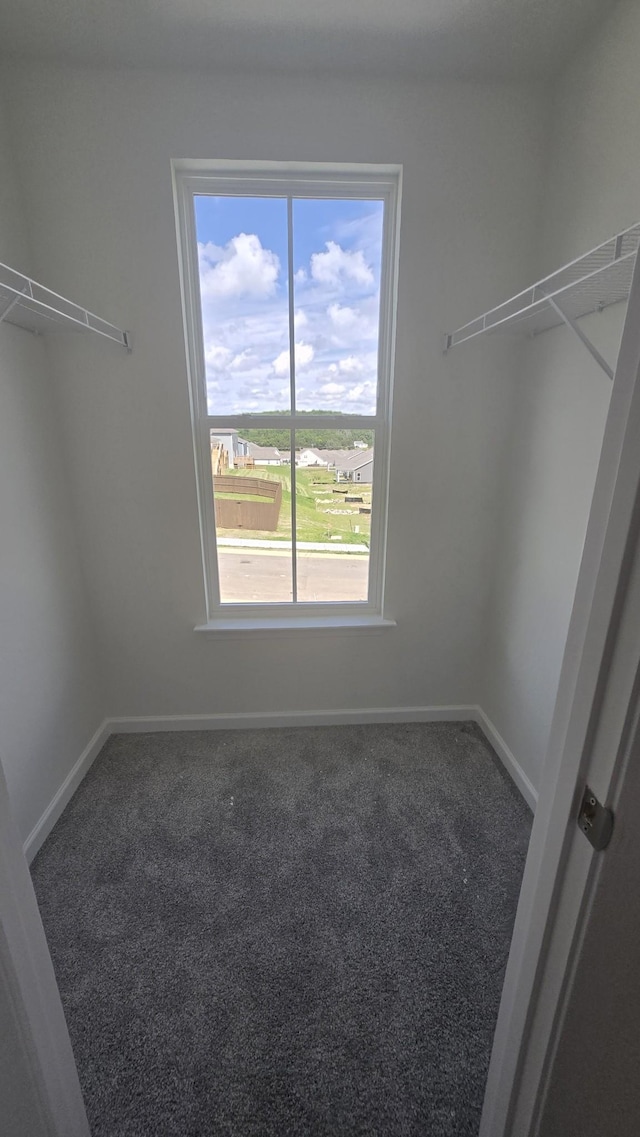 6301 Loudwater Ct, Smyrna, TN 37167 - walk in closet with carpet flooring