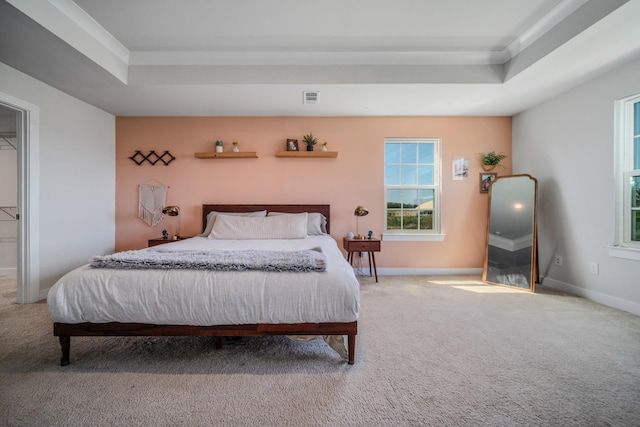 17 Kilkham Ct, Mount Juliet, TN 37122 - bedroom featuring a tray ceiling, baseboards, carpet, and visible vents