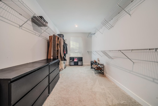 17 Kilkham Ct, Mount Juliet, TN 37122 - walk in closet with light carpet