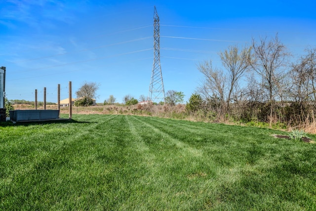 17 Kilkham Ct, Mount Juliet, TN 37122 - view of yard