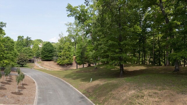 115 Tremolat Ln, Cleveland, TN 37312 - photo 13