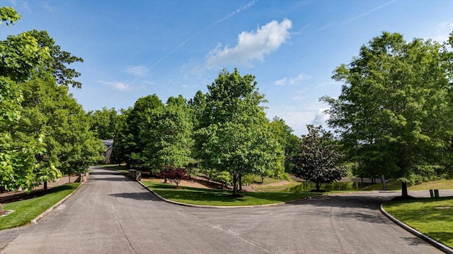 115 Tremolat Ln, Cleveland, TN 37312 - photo 3