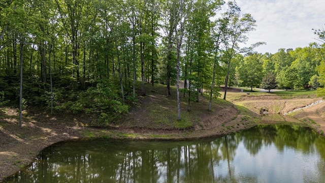 115 Tremolat Ln, Cleveland, TN 37312 - photo 18