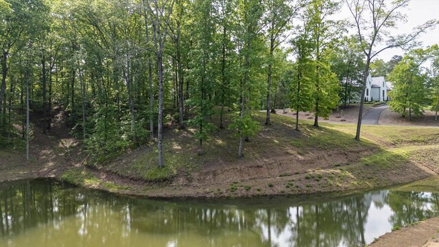 115 Tremolat Ln, Cleveland, TN 37312 - photo 17