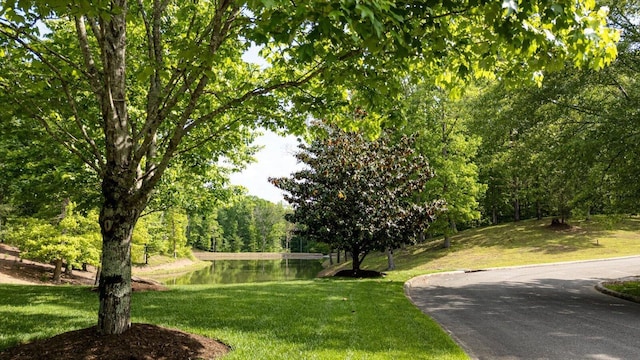 115 Tremolat Ln, Cleveland, TN 37312 - photo 5