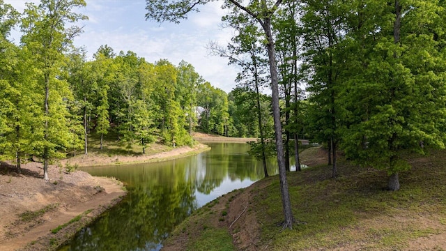 115 Tremolat Ln, Cleveland, TN 37312 - photo 7