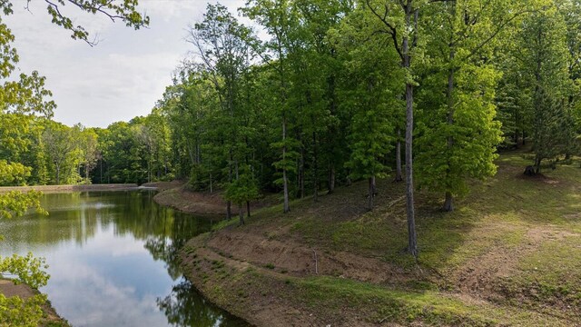 115 Tremolat Ln, Cleveland, TN 37312 - photo 16
