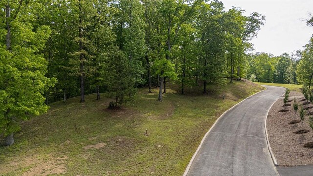 115 Tremolat Ln, Cleveland, TN 37312 - photo 15
