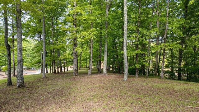 115 Tremolat Ln, Cleveland, TN 37312 - photo 11