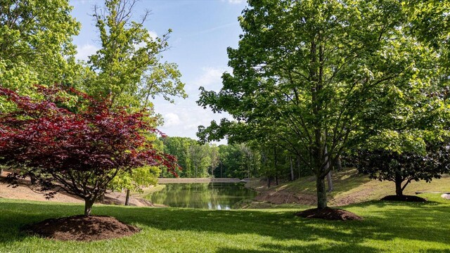 115 Tremolat Ln, Cleveland, TN 37312 - photo 6