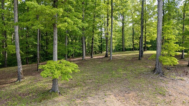 115 Tremolat Ln, Cleveland, TN 37312 - photo 14