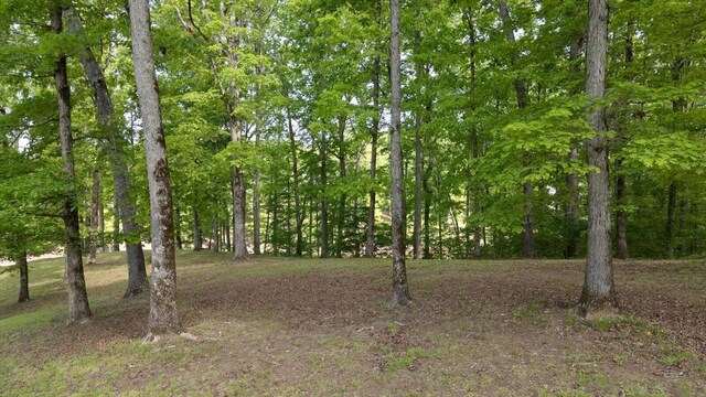 115 Tremolat Ln, Cleveland, TN 37312 - photo 12