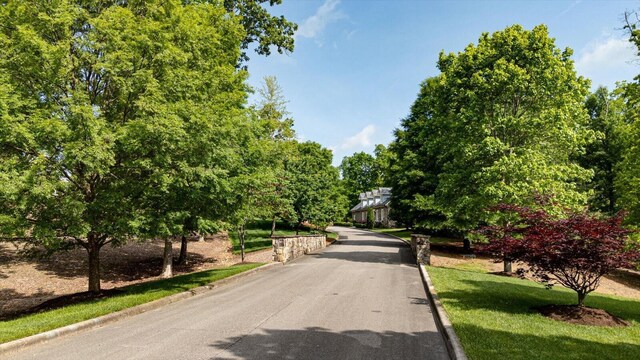 115 Tremolat Ln, Cleveland, TN 37312 - photo 4
