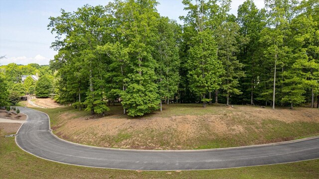 115 Tremolat Ln, Cleveland, TN 37312 - photo 10