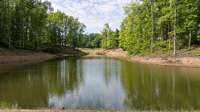 115 Tremolat Ln, Cleveland, TN 37312 - photo 19