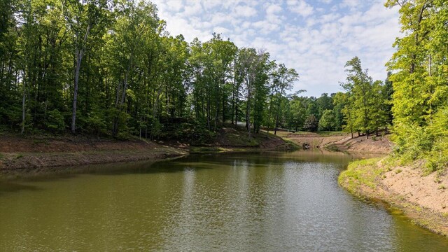 115 Tremolat Ln, Cleveland, TN 37312 - photo 20