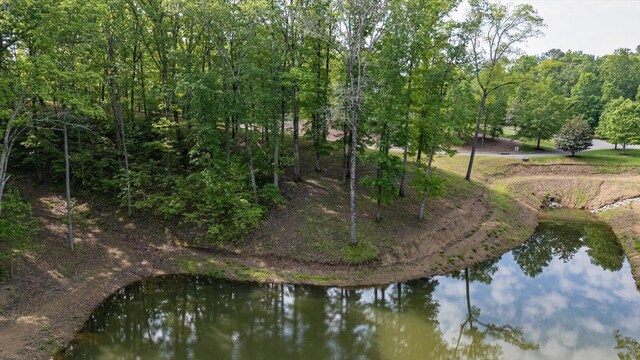 115 Tremolat Ln, Cleveland, TN 37312 - photo 21