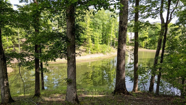 115 Tremolat Ln, Cleveland, TN 37312 - photo 24