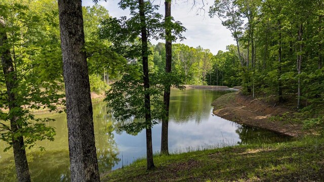 115 Tremolat Ln, Cleveland, TN 37312 - photo 23