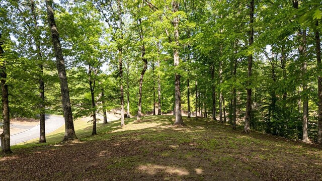 115 Tremolat Ln, Cleveland, TN 37312 - photo 26