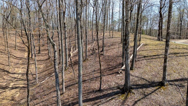 115 Tremolat Ln, Cleveland, TN 37312 - photo 48