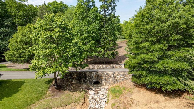 115 Tremolat Ln, Cleveland, TN 37312 - photo 37