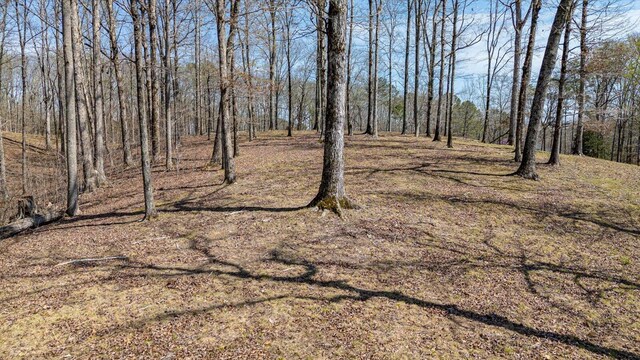 115 Tremolat Ln, Cleveland, TN 37312 - photo 50
