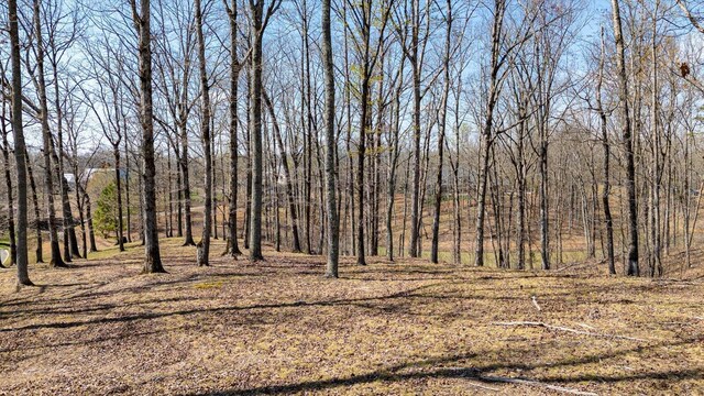 115 Tremolat Ln, Cleveland, TN 37312 - photo 51