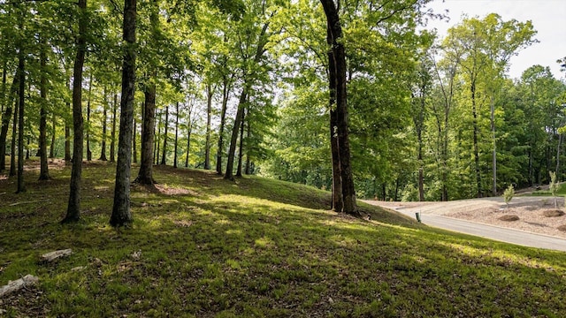 115 Tremolat Ln, Cleveland, TN 37312 - photo 25