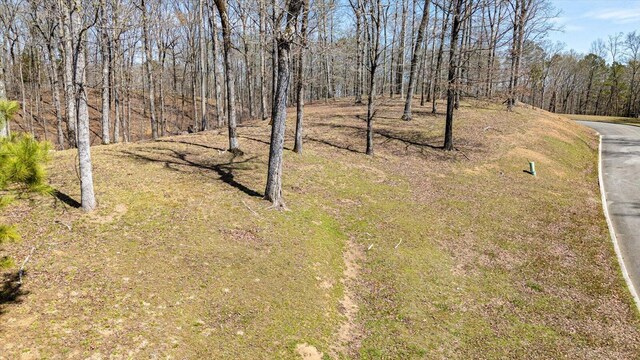 115 Tremolat Ln, Cleveland, TN 37312 - photo 49