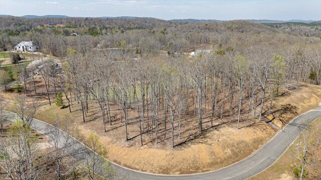 115 Tremolat Ln, Cleveland, TN 37312 - photo 46