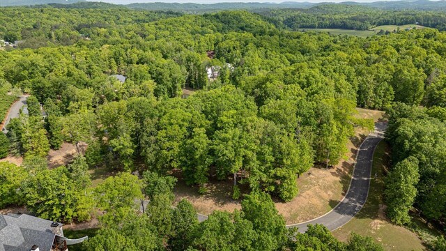 115 Tremolat Ln, Cleveland, TN 37312 - photo 28