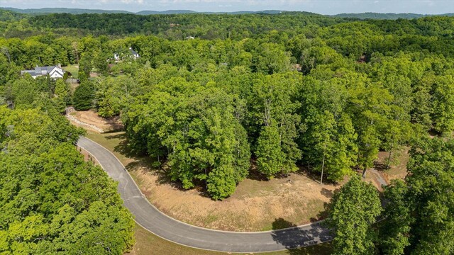 115 Tremolat Ln, Cleveland, TN 37312 - photo 27