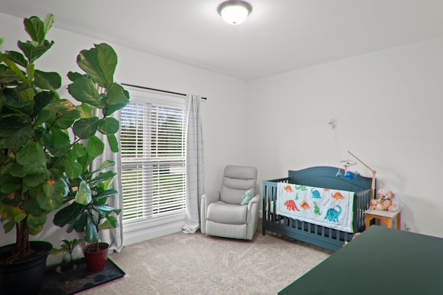 bedroom featuring carpet