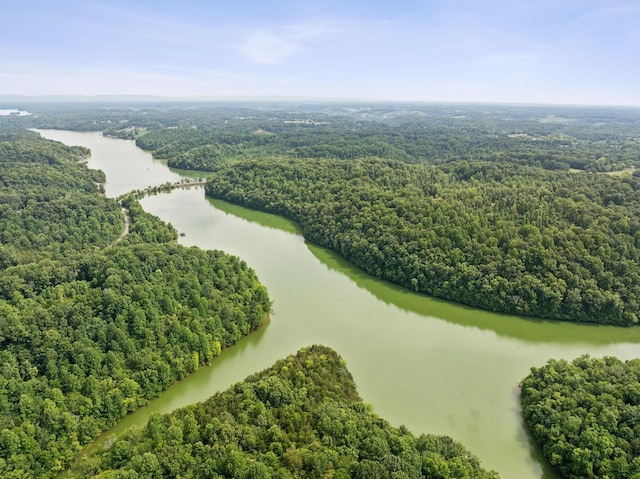 bird's eye view with a wooded view and a water view