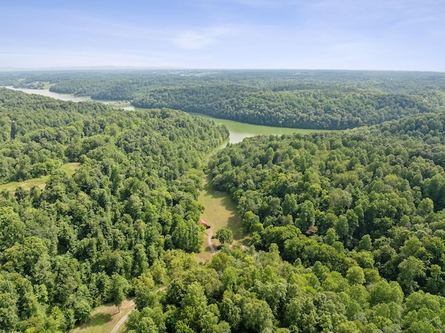 bird's eye view featuring a water view and a forest view