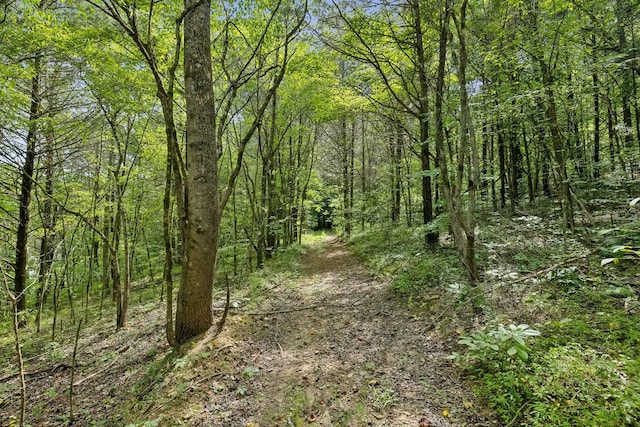 view of local wilderness featuring a wooded view