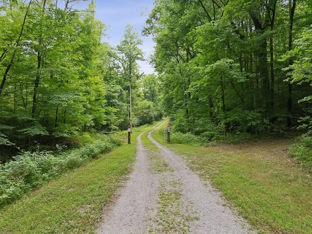view of street featuring a view of trees