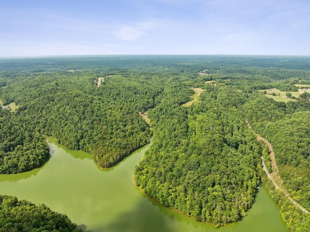 aerial view with a water view and a wooded view