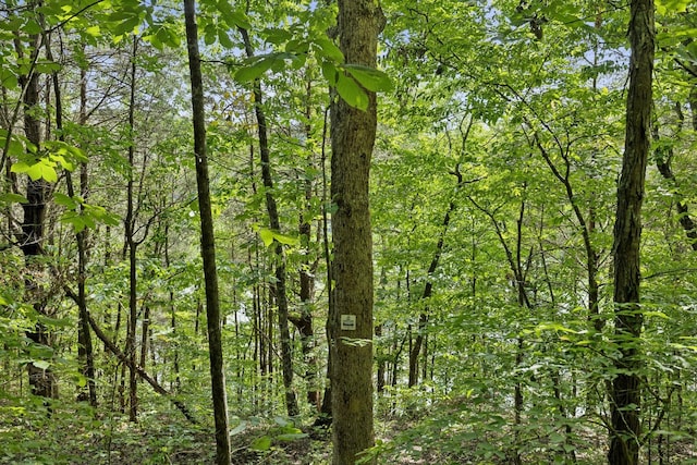 view of nature featuring a wooded view