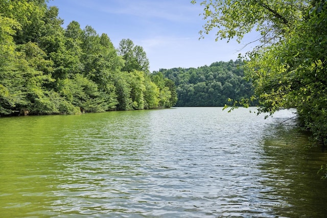 water view with a view of trees